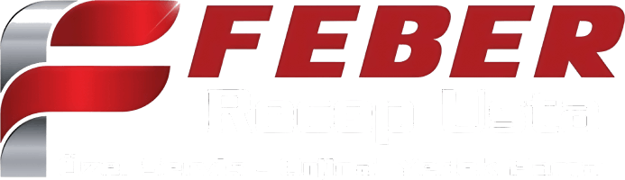 Feber Oto